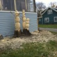 My fiance and I were out on a walk last Saturday with our dogs and happened on these cute snowmen...