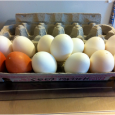 How-to: Blow Out Easter Eggs Learn to make Easter eggs that will never go bad.