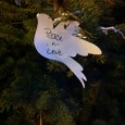 Logan Square Peace Tree Dedicated to "celebrating safety, connecting neighbors & creating peace in Logan Square."
