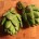 If you've never cooked an artichoke, read  this post to learn how easy it is!