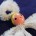 An adorable angel ornament made with one bead and one pipe cleaner. 