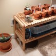 Spruce up droopy indoor plants, plant some seeds, and take a soak in the tub. 