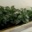 Convert aluminum gutters into wall-mounted planters! 