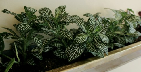 Convert aluminum gutters into wall-mounted planters! 