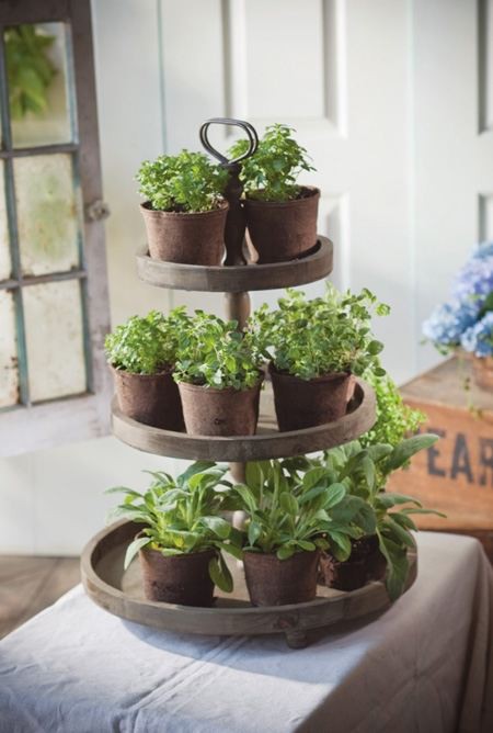 lazy-susan-herb-garden