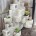 Make a totally mod planter with some 50-cent cinder blocks and a couple hours.