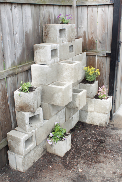 DIY Cinder Block Planter Wall