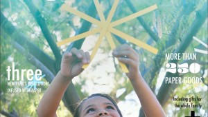 Discover Paper 2012 Holiday Guide via HandsOccupied.com