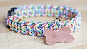 Paracord Dog Collar - Tutorial at HandsOccupied.com