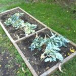 Adventures in Indoor Gardening