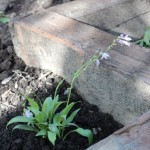 How-to: Make a garden with reclaimed railroad ties