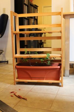 How-to: Indoor Herb Garden