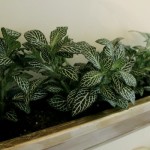 How-to: Make a Faux Copper Gutter Garden