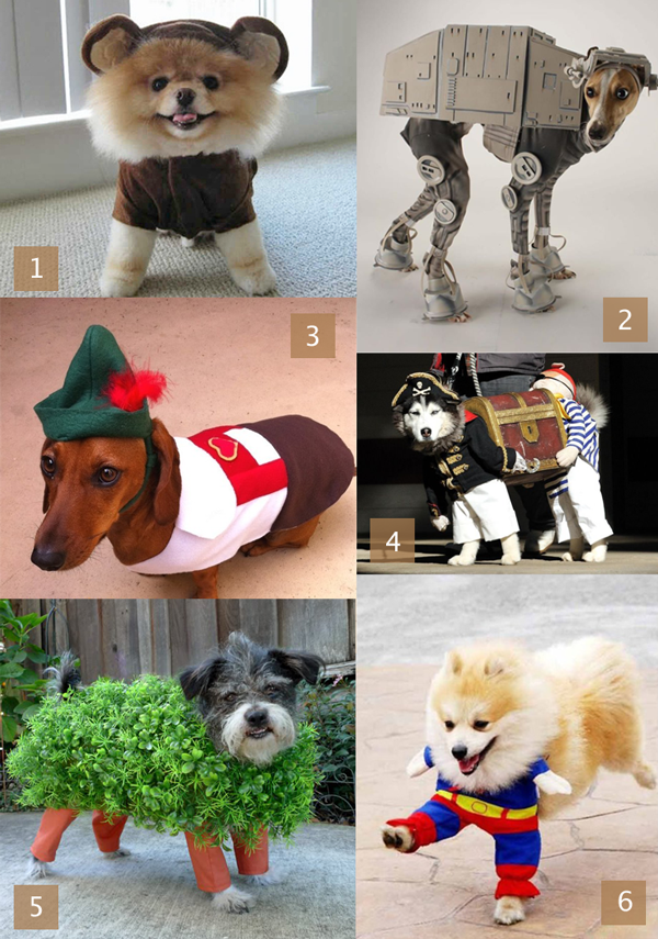 Dog Costume Inspiration | HandsOccupied.com