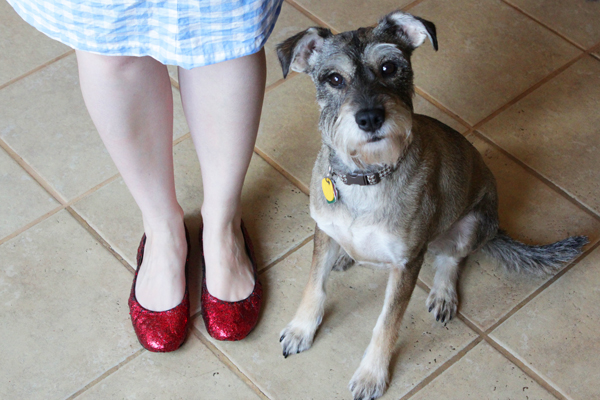 How-to: DIY Ruby Slippers | HandsOccupied.com