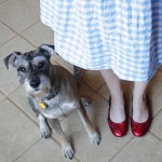 How-to: DIY Ruby Slippers