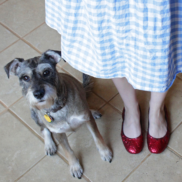 How-to: DIY Ruby Slippers | HandsOccupied.com