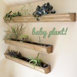 How-to: Maintain an Indoor Gutter Garden