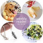 Weekly Reader