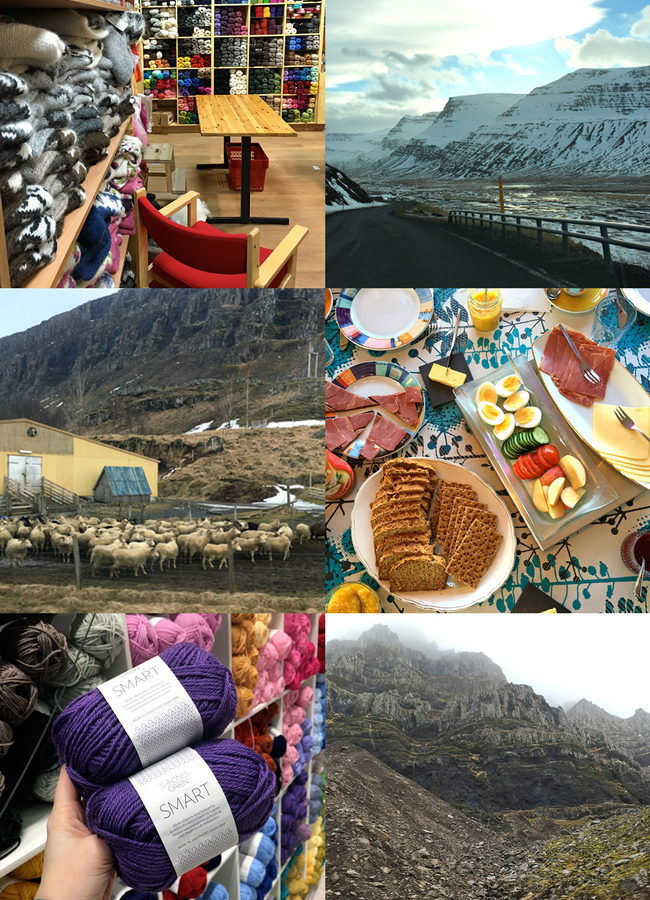 Iceland trip collage